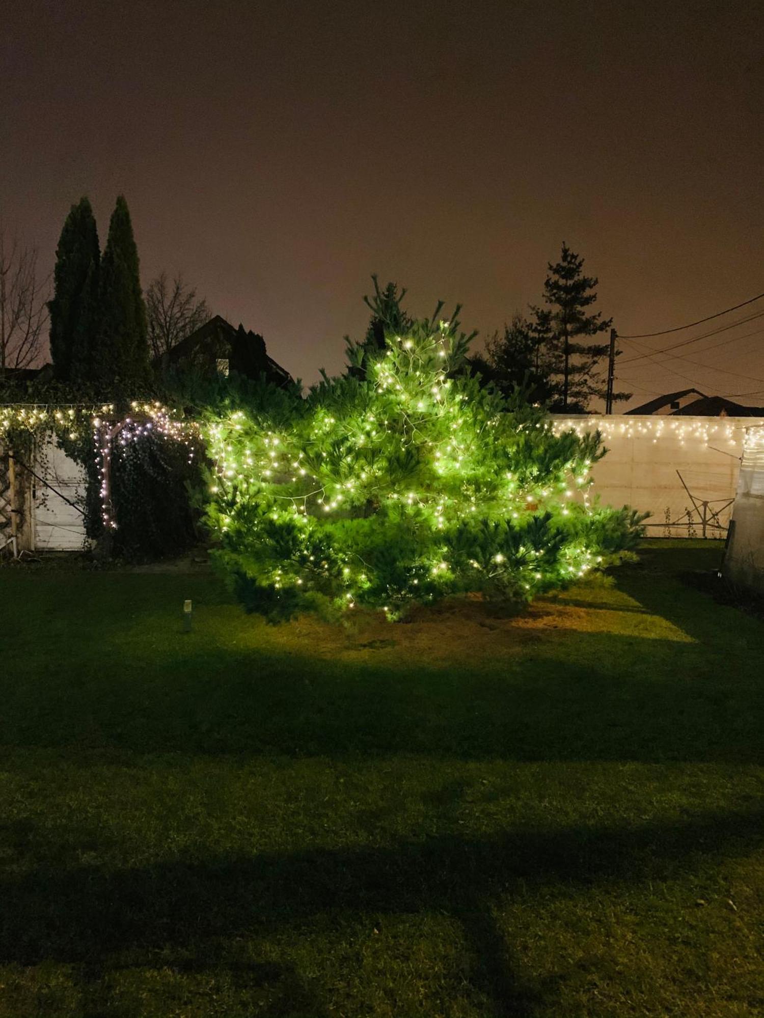 Villa Umberti Sibiu Eksteriør billede